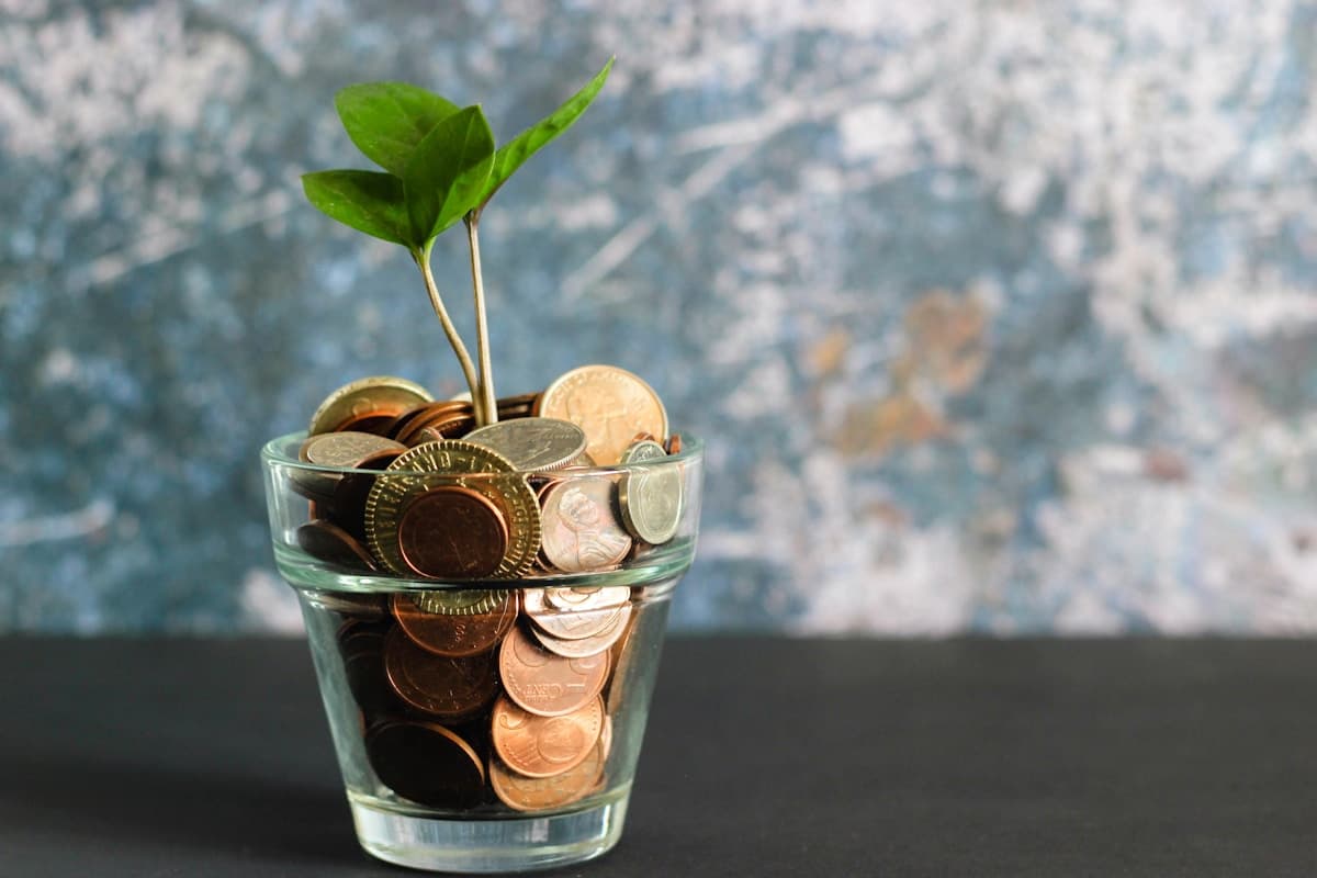 Cash Flow Blindspot: Why Profitable Companies Still Die